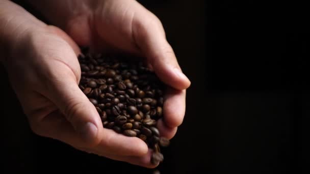 Koffiebonen vallen uit de handen van de boer — Stockvideo