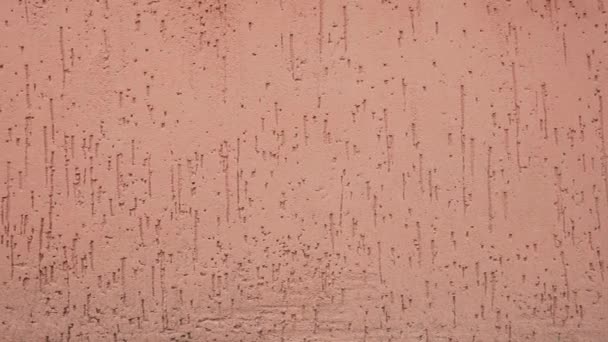 Stuckverputzte Wand in Pastell — Stockvideo