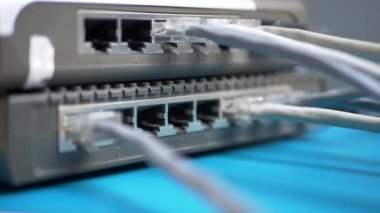 Router Into El Fişleri Ethernet Kablosu