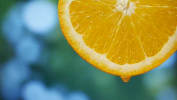 Gotas de jugo fluye hacia abajo en la fruta naranja en el jardín — Vídeo de stock