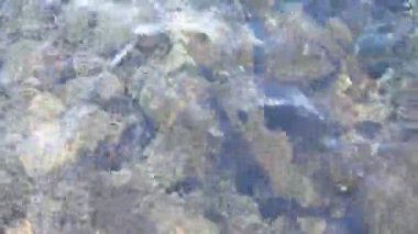 Rurquoise su yüzeyine deniz ya da okyanus