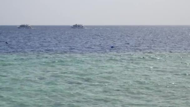 White ship yacht sails in blue water of sea or ocean — Stock Video