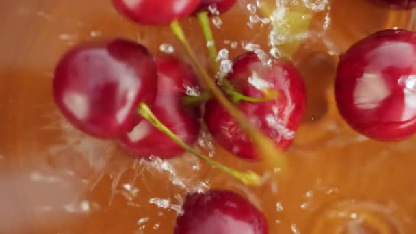Cereza roja oscura jugosa madura que cae abajo en agua — Vídeos de Stock