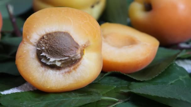 Čerstvé meruňkové ovoce a půlka jedna a strom větev s listy — Stock video