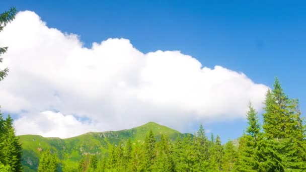 Nuvens sobre a montanha com grama verde — Vídeo de Stock