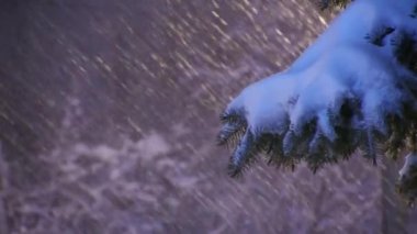 Kar fırtınası sırasında yoğun kar yağışı