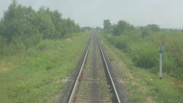 Tratti ferroviari in movimento Alberi verdi sfondo — Video Stock