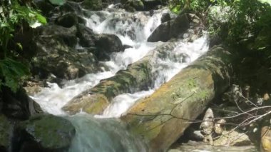 Yeşil Orman'da Şelale ve Dağ Deresi