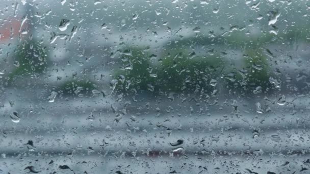 Gotas de agua de lluvia en vidrio de ventana — Vídeo de stock
