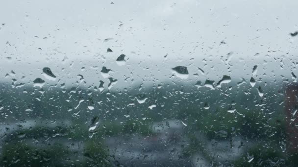 Gotas de lluvia en ventana de vidrio — Vídeo de stock