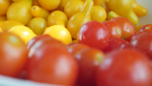 Röd och gul saftig körsbär tomat — Stockvideo