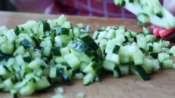 Chef kvinnliga Clices grön mogen gurka förbereder grönsakssallad — Stockvideo