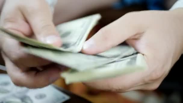 Adam Eller Bize Dolar Banknotları Sayıyor — Stok video