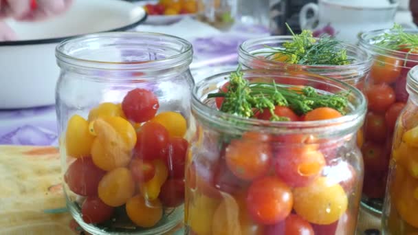 Hembra mano pone en rojo y amarillo tomates cereza en tarro de vidrio — Vídeos de Stock