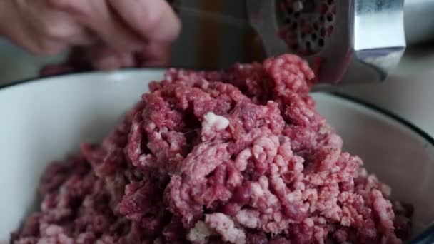 Мясо наземное с ингредиентами для приготовления пищи — стоковое видео