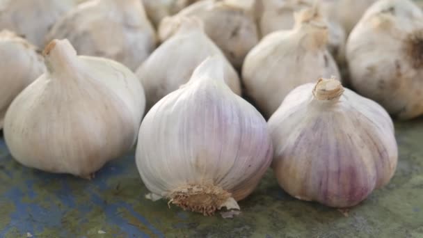 Fresh Raw White Garlic with Segments — Stock Video