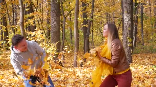 숲이나 공원에서 노란 잎과 미소를 던지는 재미있는 젊은 부부 — 비디오