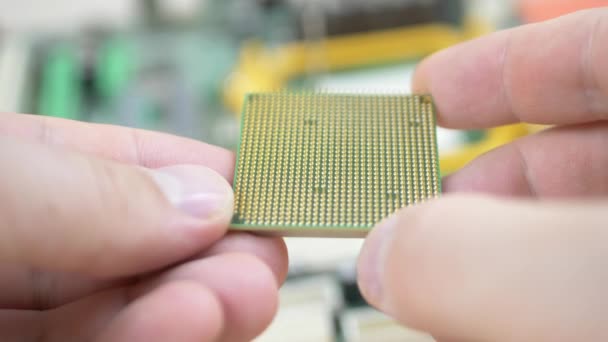 Trabajador sostiene procesador de CPU de ordenador — Vídeos de Stock