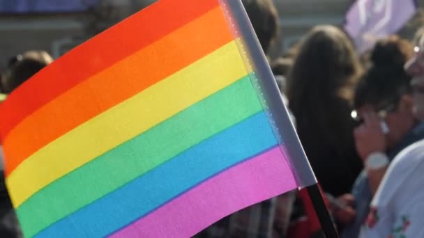 Colorful Backlit Rainbow Gay Pride Flag — Stock Video