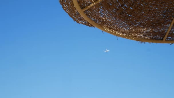 Passagerarflygplan flyga på blå himmel bakgrund — Stockvideo