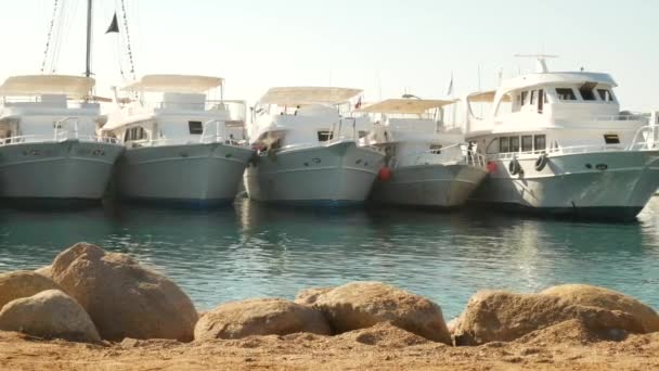 Barche e yacht in porto nel Mar Rosso — Video Stock