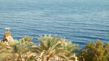 Mavi Su Denizi'nde Dalgalar ile Kıyı Şeridi Üzerinde Sahilde Plaj