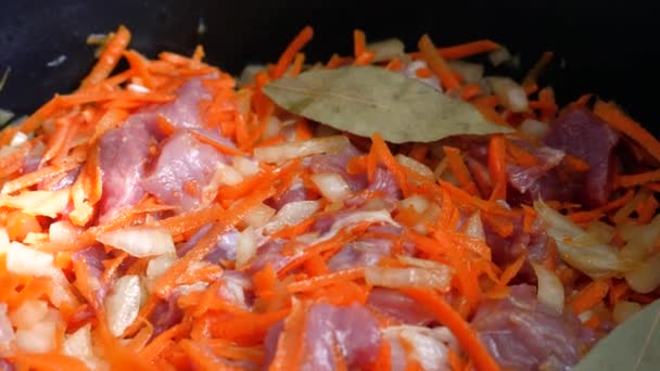 Carne de cerdo cruda en rodajas con especias, zanahoria, cebolla y hoja de laurel — Vídeo de stock