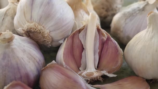 Garlic Clove or Garlic Bulb on Vintage Wooden Background — Stock Video