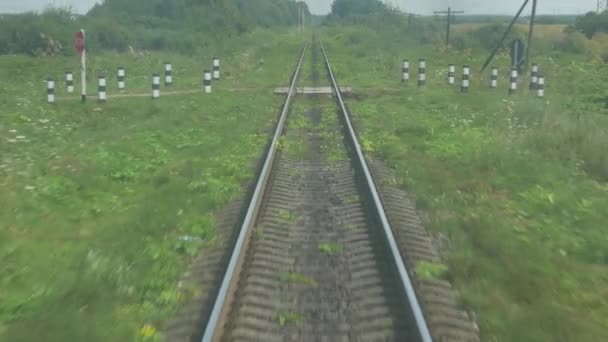 Železniční tratě v pohybu zelená tráva a keře na pozadí — Stock video