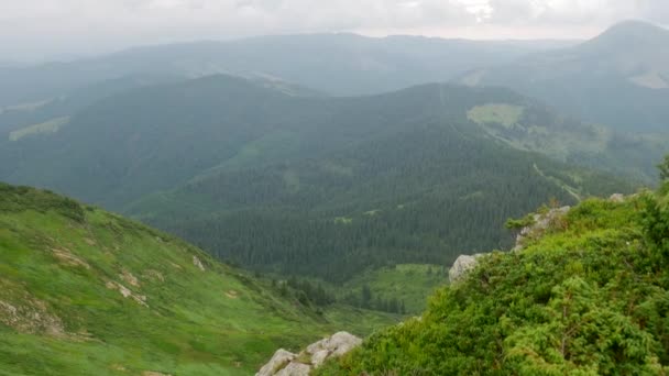 Zöld hegy és köd a szárazföldön — Stock videók