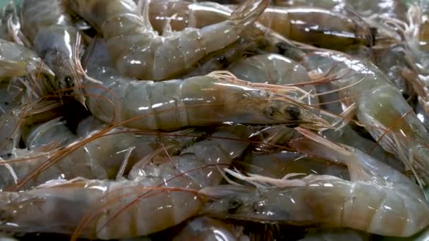 Φρέσκες γαρίδες για το μαγείρεμα στο πιάτο στο εστιατόριο θαλασσινών — Αρχείο Βίντεο
