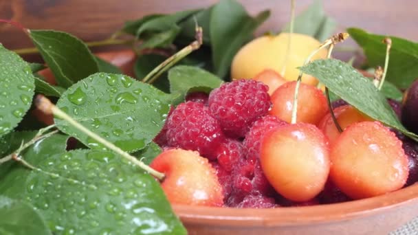 Po dešti kapky vody na meruňkové ovoce, žluté červené třešně a maliny se zelenými listy — Stock video