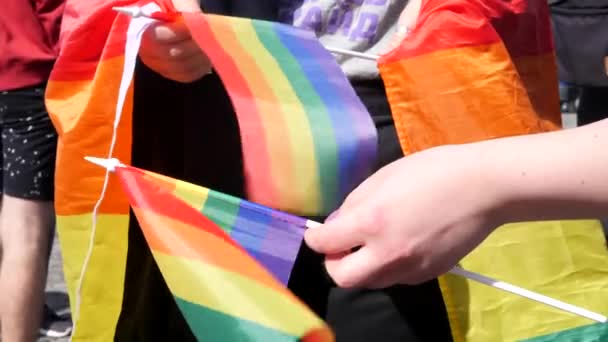 Kleurrijke Rainbow trots vlag in mensenhanden — Stockvideo