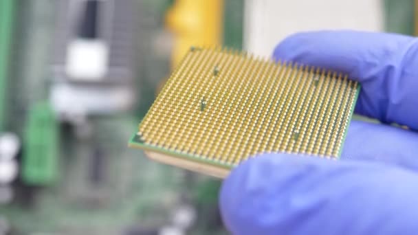 Hand in blue gloves holds sample of processor at technology plant — Stock Video