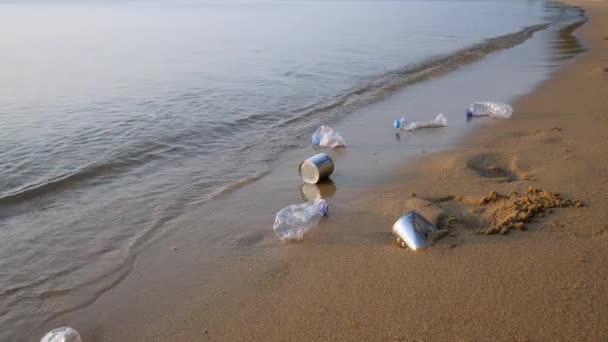 모래사장에서는 플라스틱 병과 쇠가 쓰레기가 될 수있다 — 비디오