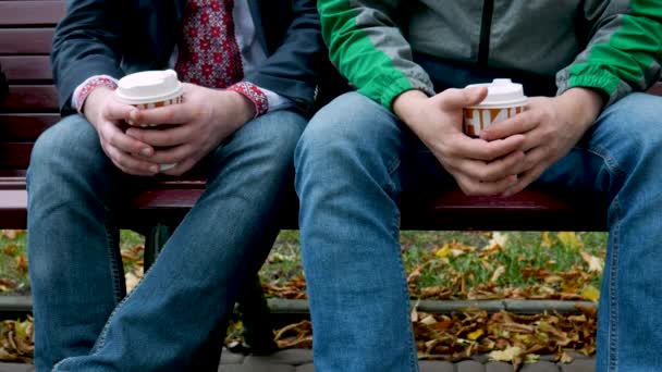 Pausa para el café dos colegas en el banco del parque en otoño — Vídeos de Stock