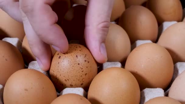 Unrecognizable mans hand take raw chicken eggs — Stock Video