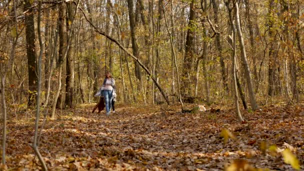 Giovane madre e bella figlia godono della natura autunnale — Video Stock