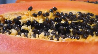 Yarım olgun papaya tohumu.