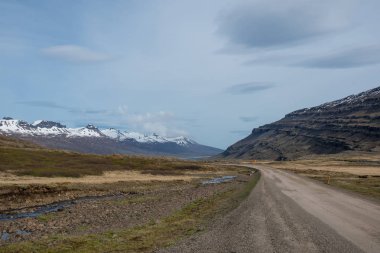 Dağ yolundan oksi East Iceland içinde bir bahar gününde