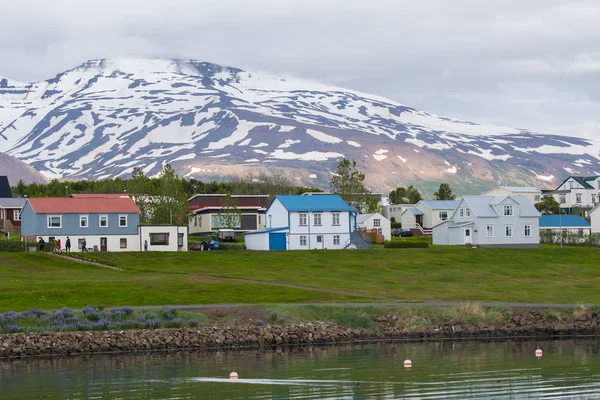 Village Hrisey Islande Par Une Journée Été Nuageuse — Photo