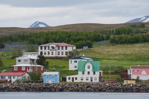 Vesnice Hrisey Islandu Zatažený Letní Den — Stock fotografie