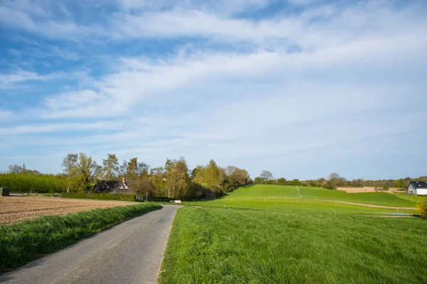 Danska Landsbygden Vägen Sommardag — Stockfoto