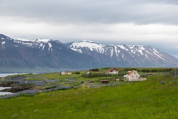 Νησί Του Hrisey Στην Ισλανδία Για Μια Ανοιξιάτικη Μέρα — Φωτογραφία Αρχείου