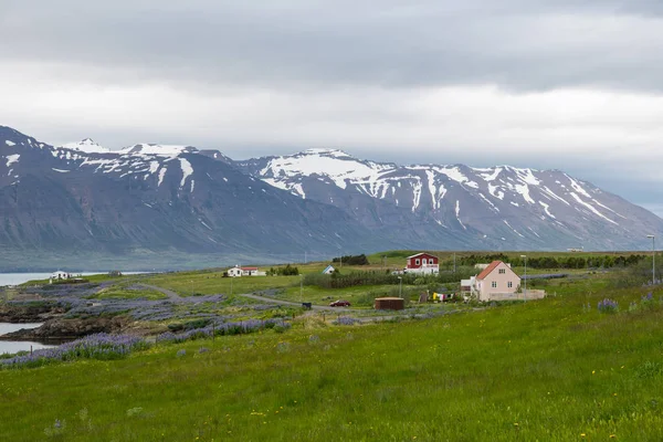 Île Hrisey Islande Jour Printemps — Photo