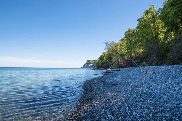 Coastline Island Moen Denmark — Stock Photo, Image