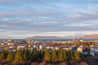 Izlanda 'da Reykjavik şehir üzerinde görüntüle