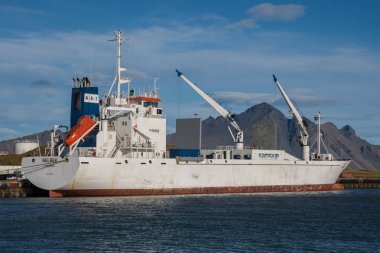 Hornafjordur limanında Reefer kargo gemisi