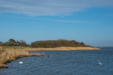 Bir bahar gününde Denmakr sahil şeridi