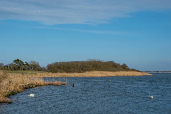 Bir bahar gününde Denmakr sahil şeridi